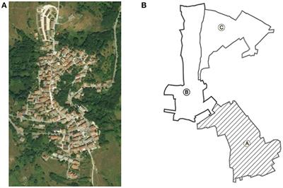 Seismic Vulnerability of Buildings in Historic Centers: From the “Urban” to the “Aggregate” Scale